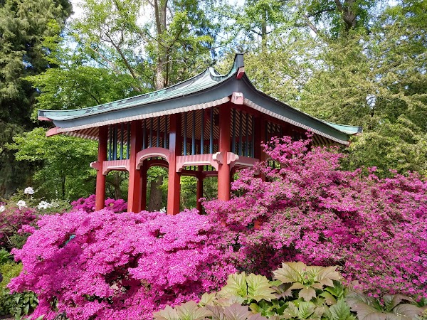 Botanical Garden and Botanical Museum 3