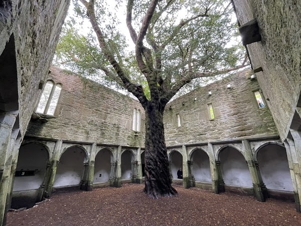 Muckross Abbey 3