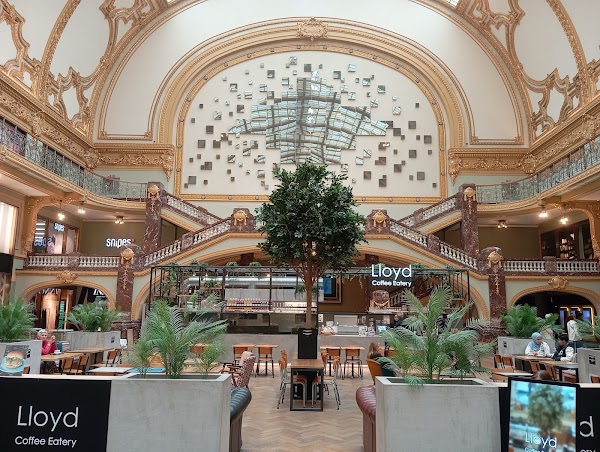 Lloyd Coffee Eatery - Antwerp 5