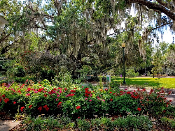 Harry P Leu Gardens 5