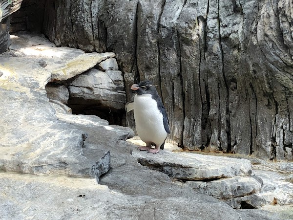 Oceanário de Lisboa 2