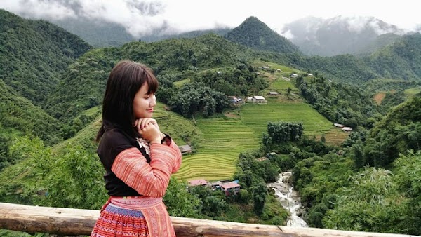 Vietnam Rice Fields