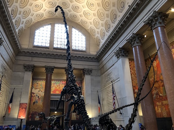 American Museum of Natural History