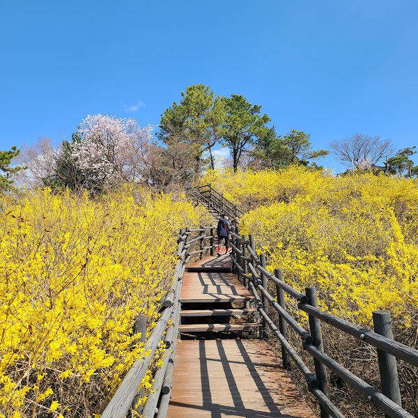 Eungbongsan (Seoul) 3