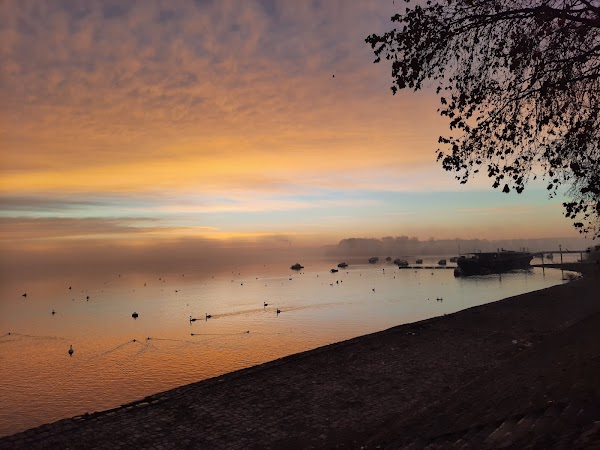 Zemunski Kej na Dunavu 4