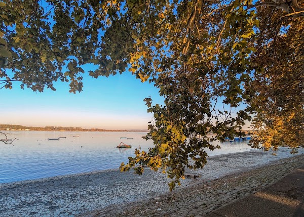 Zemunski Kej na Dunavu 2