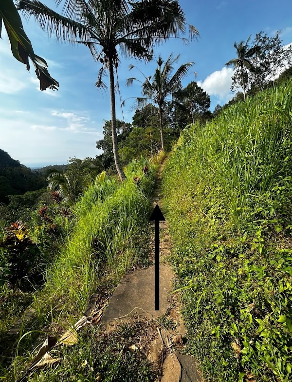 Fiji Waterfall Lemukih 3