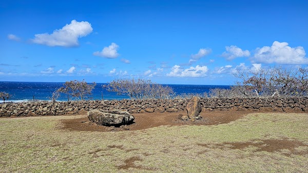 Mo'okini Heiau 4