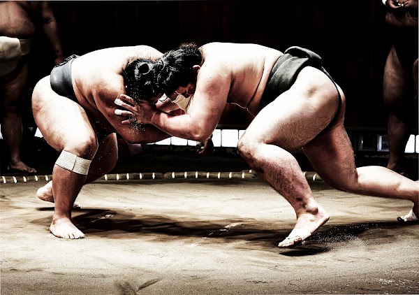 Sumo Studio Osaka