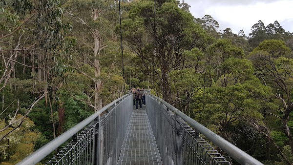 Great Otway National Park 2