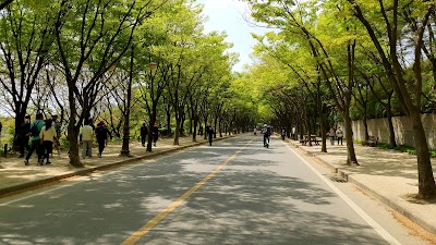 Incheon Grand Park 2