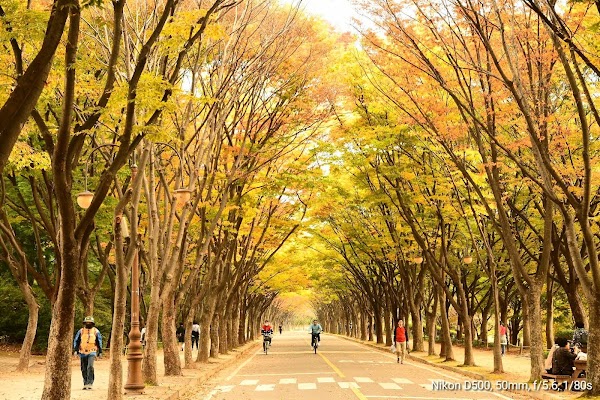 Incheon Grand Park 1