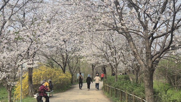 Incheon Grand Park 5