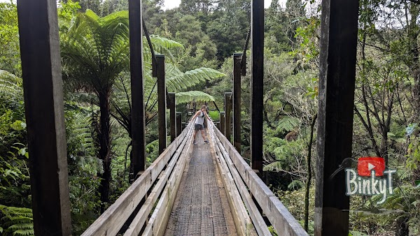 Suspension Bridge Track