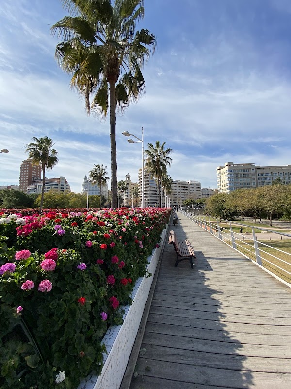 Puente de las Flores
