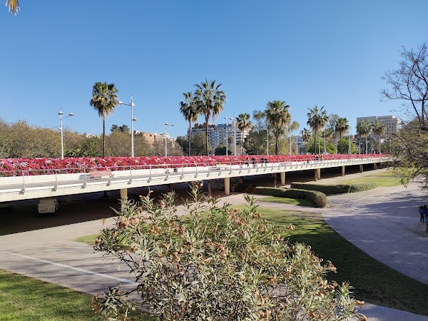 Puente de las Flores 5