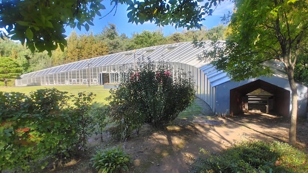 Hangdong Railroad Trail 5