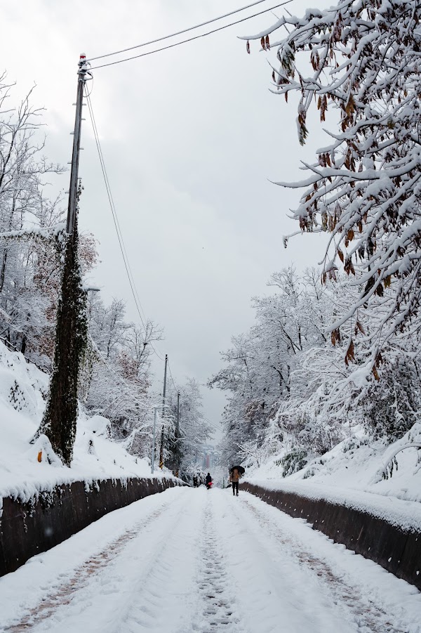 Hangdong Railroad Trail 4