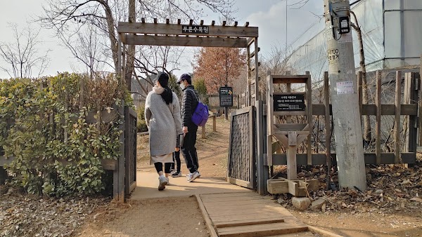 Hangdong Railroad Trail 3