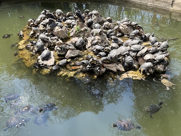 Athens National Garden 3