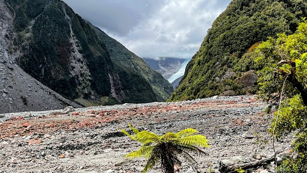 Fox Glacier Viewpoint / Te Kopikopiko O Te Waka 4
