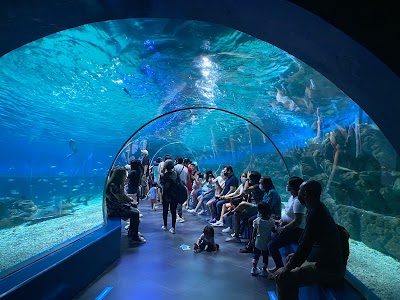 Manila Ocean Park 2