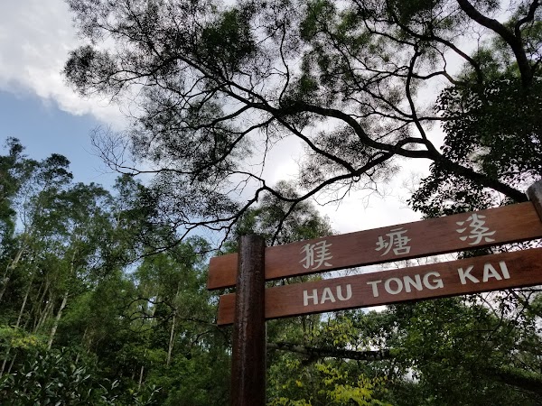 Hau Tong Kai 4