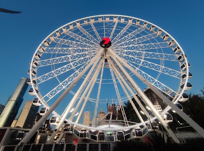 The Wheel of Brisbane