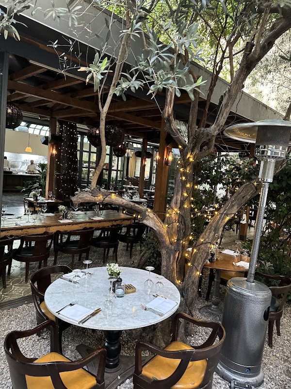 Cecconi's Istanbul 4