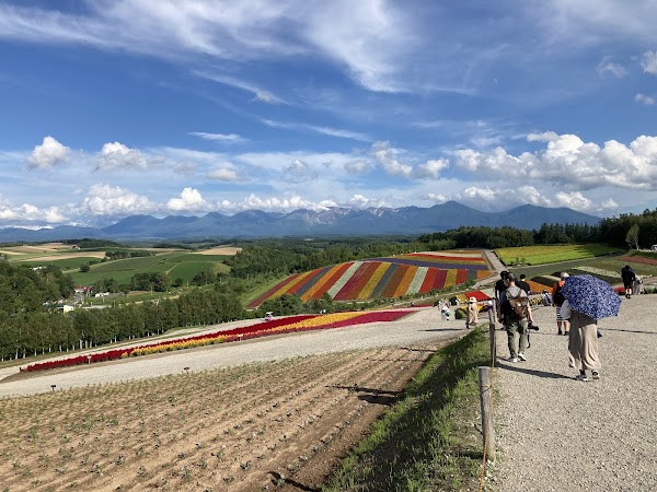 Panoramic Flower Gardens Shikisai-no-oka 5