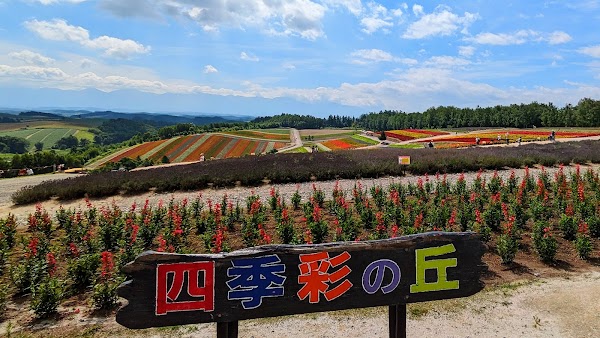 Panoramic Flower Gardens Shikisai-no-oka 4