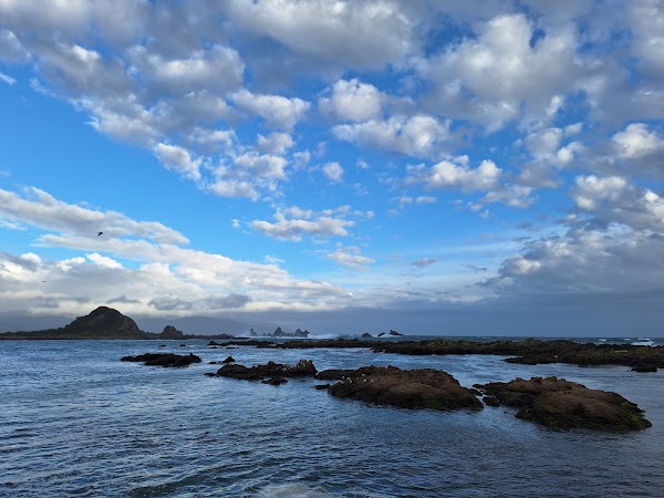 Taputeranga Marine Reserve