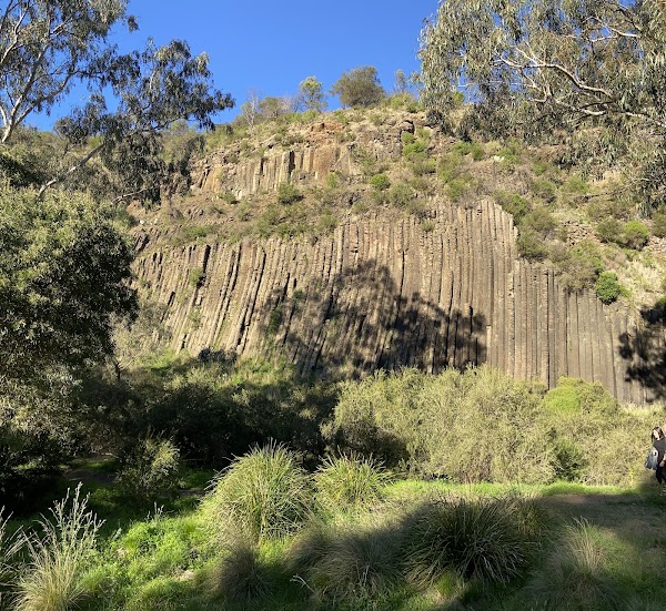 Organ Pipes National Park 5
