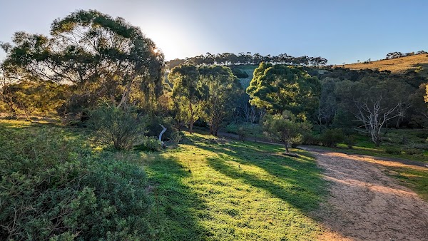 Organ Pipes National Park 3