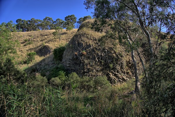 Organ Pipes National Park 2