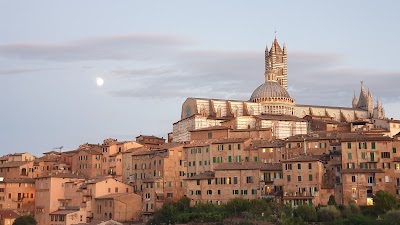 Siena
