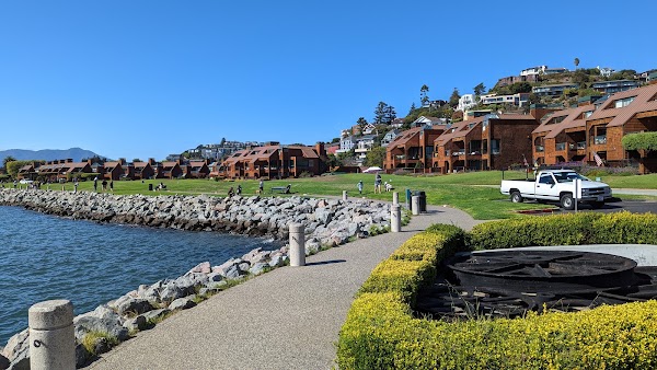 Tiburon