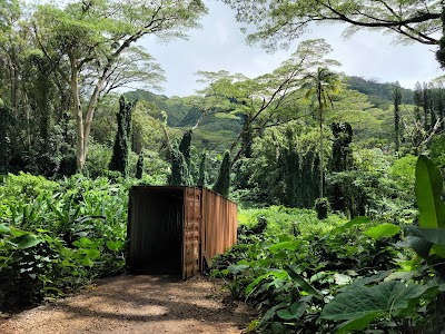 Mānoa Falls Trail