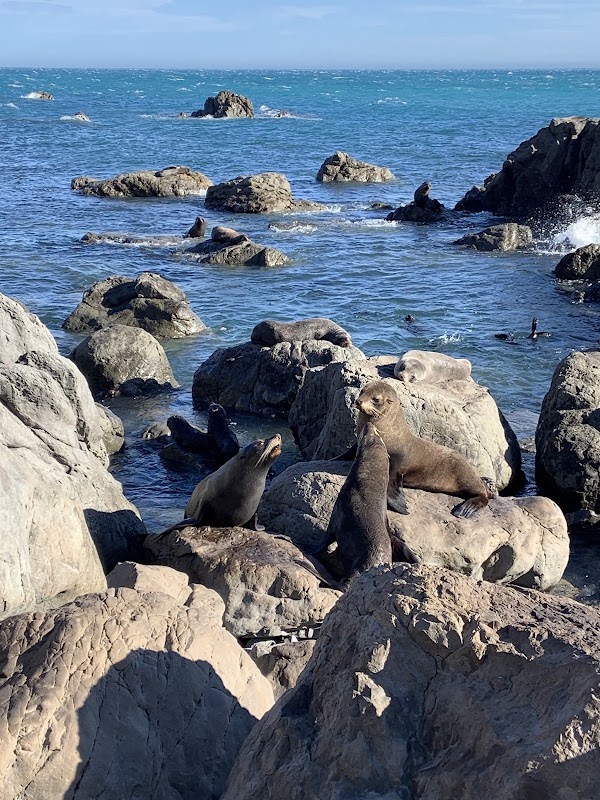 Cape Palliser Lighthouse 3