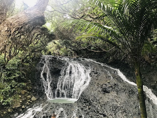 Karekare Falls 4