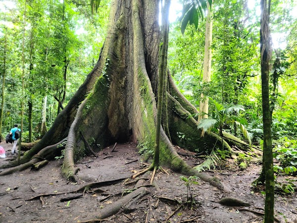 Parque Nacional Volcán Arenal 5