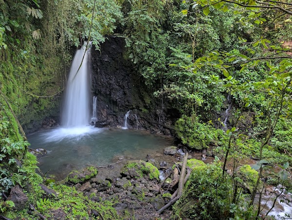Parque Nacional Volcán Arenal 3