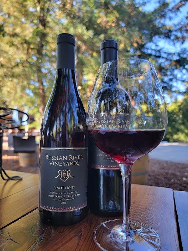 Russian River Vineyards 4