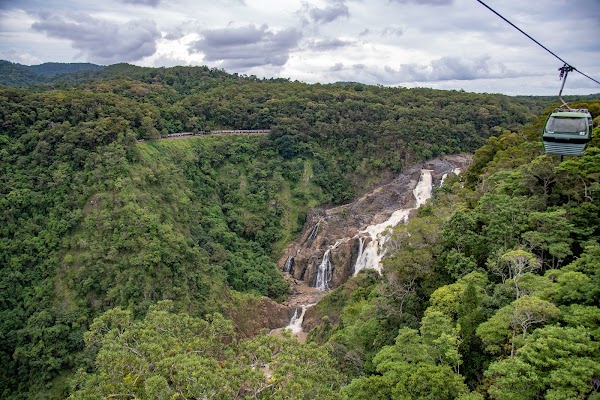 Skyrail Rainforest Cableway 6
