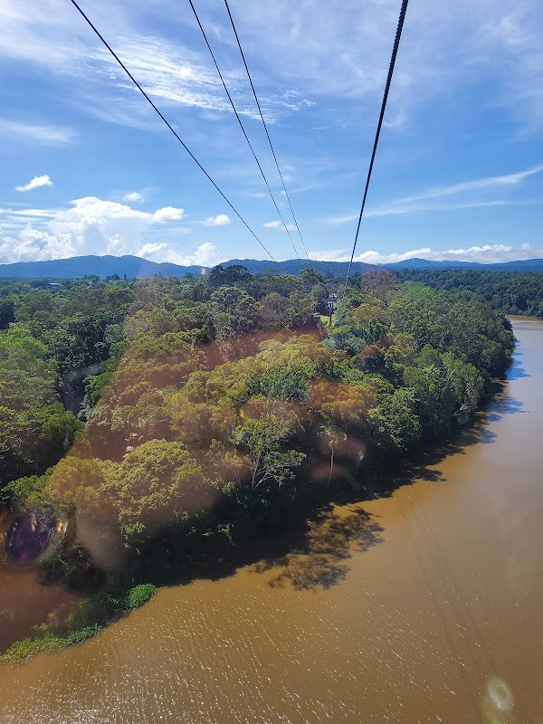 Skyrail Rainforest Cableway 5