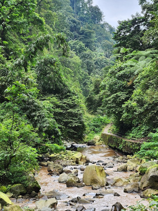 Madakaripura Waterfall 2