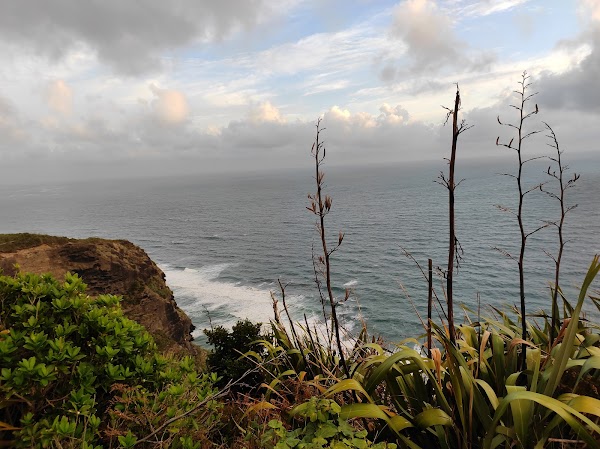 Hillary Trail (Section 4) 1