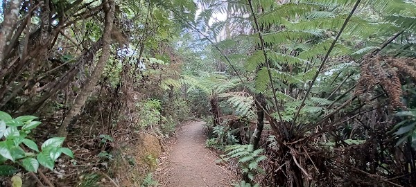 Hillary Trail (Section 4) 2