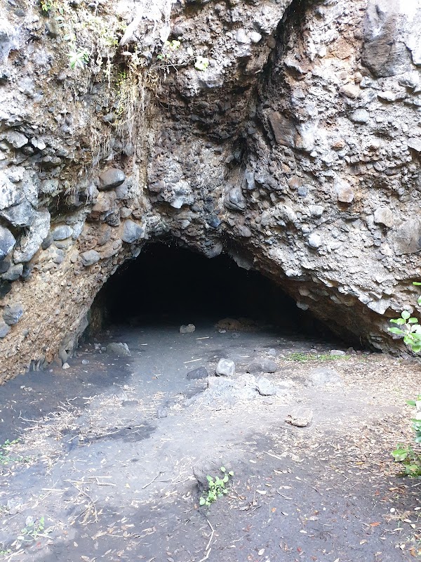 Whatipu Caves Track 1