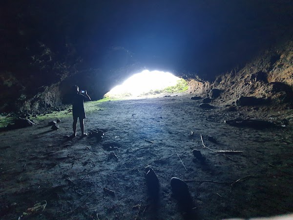 Whatipu Caves Track 5